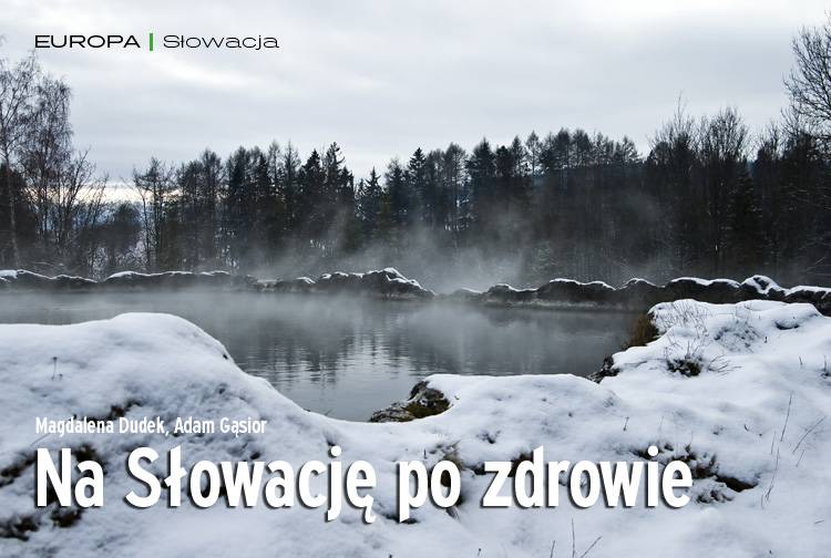 Losowy darmowy artykuł